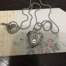 Load image into Gallery viewer, jo test pet locket gold