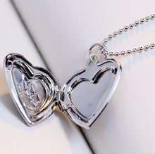 Load image into Gallery viewer, jo test pet locket silver