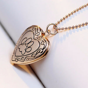 jo test pet locket gold
