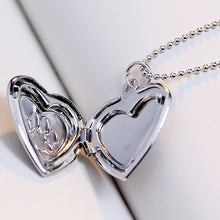 Load image into Gallery viewer, jo test pet locket gold