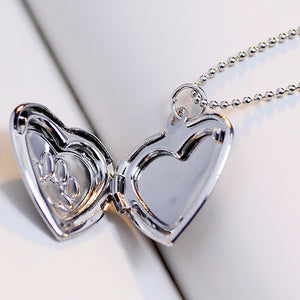 jo test pet locket gold