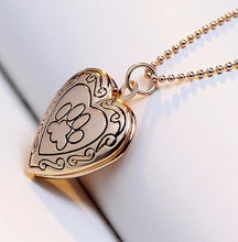 Load image into Gallery viewer, jo test pet locket gold