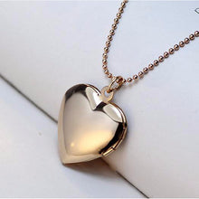 Load image into Gallery viewer, jo test pet locket gold